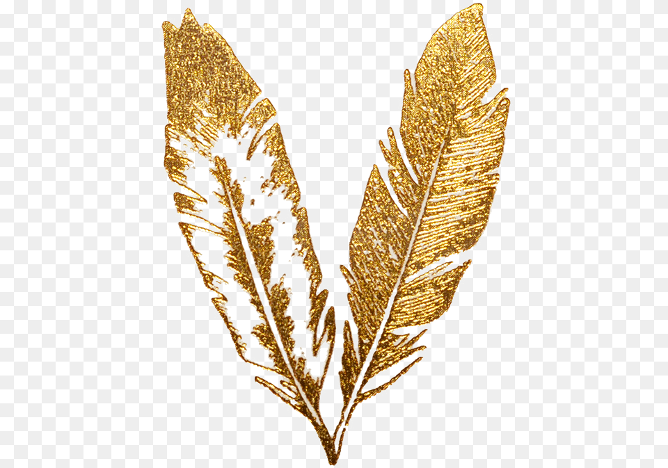 Gold Texture Download Golden Feather, Accessories, Leaf, Plant, Jewelry Free Transparent Png