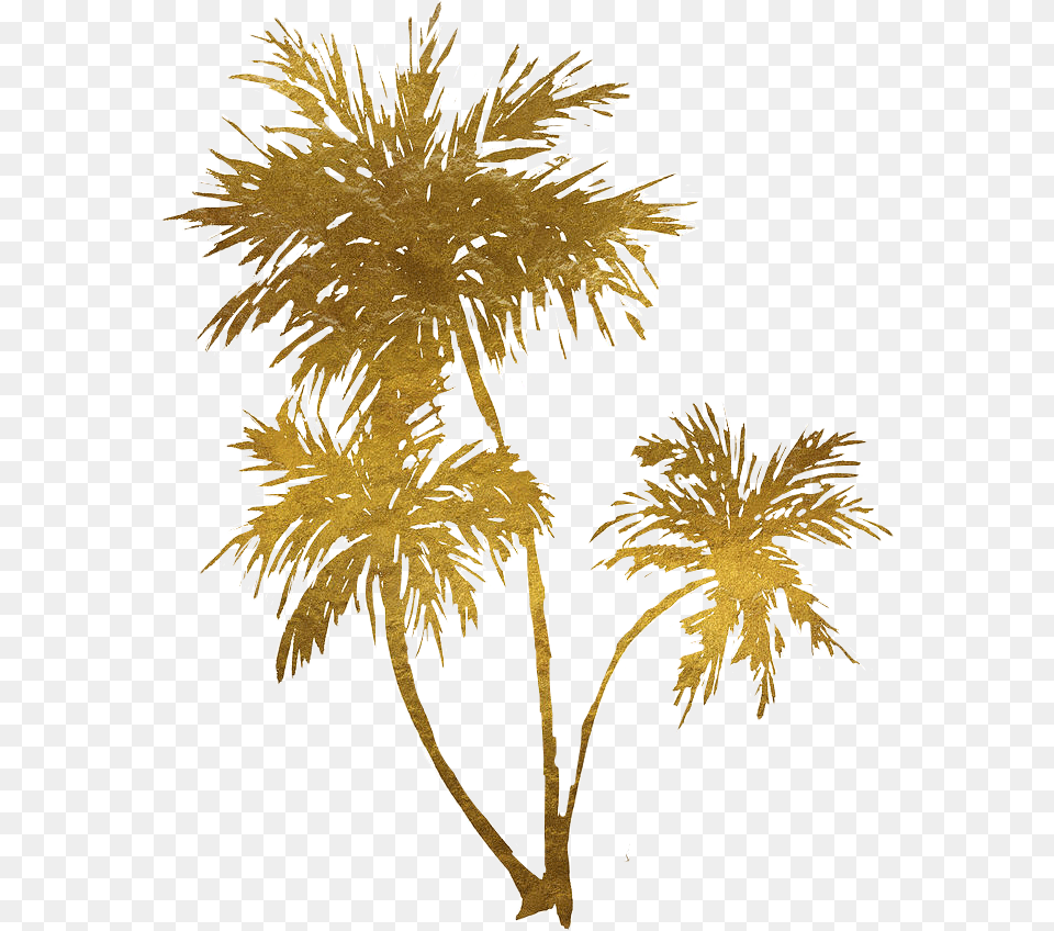 Gold Transparent Palm Tree Gold Palm Trees, Plant, Leaf, Fireworks, Flower Png