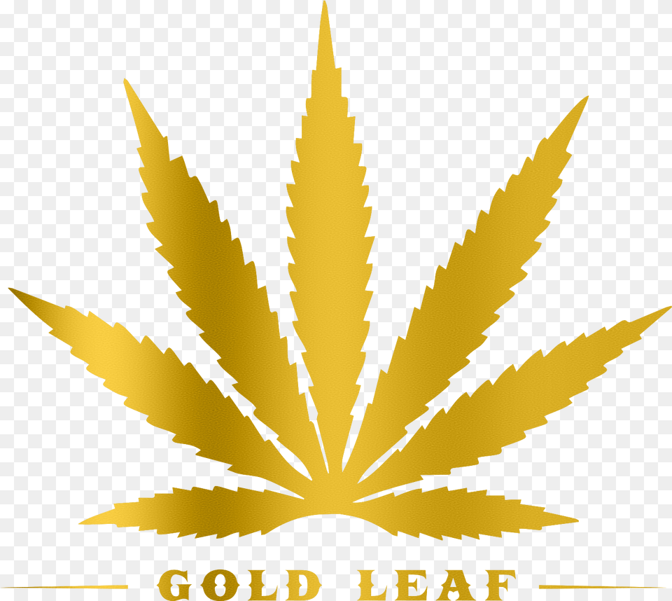 Gold Weed Leaf Marijuana Leaf, Plant, Animal, Fish, Sea Life Png
