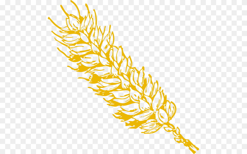 Gold Wheat 1 Clip Art At Clipart Library, Conifer, Grass, Plant, Tree Free Transparent Png