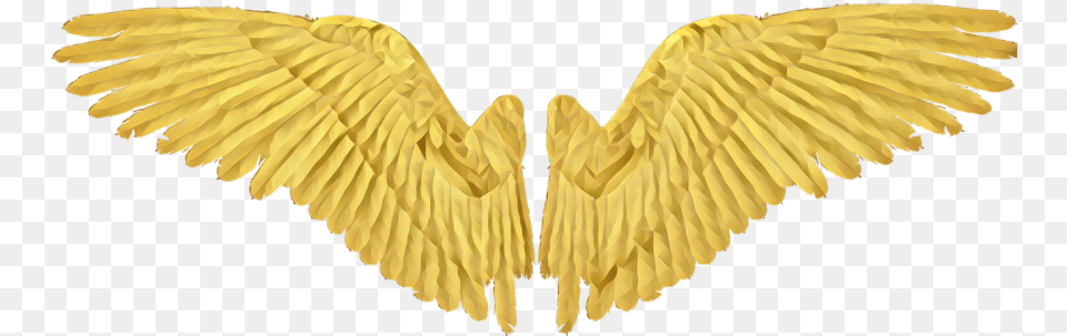 Gold Wing Wings Angel Angelwings Realistic Black Wings, Animal, Bird, Vulture Free Png