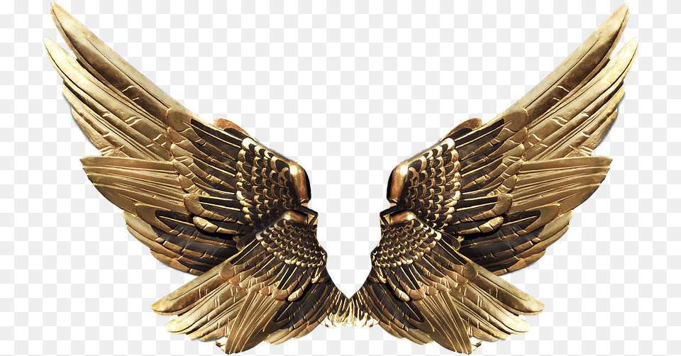 Gold Wings 2 Metal Wings, Accessories, Jewelry, Necklace, Animal Free Png Download