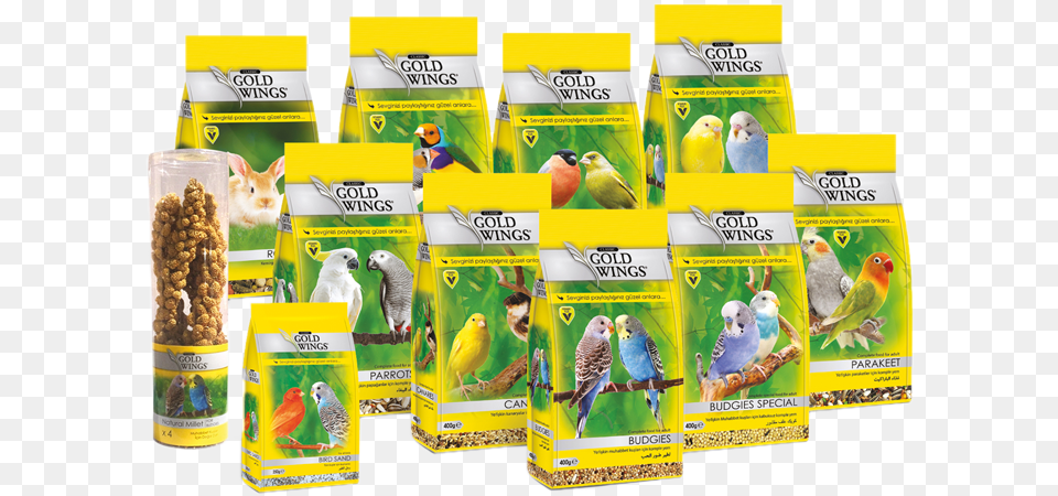 Gold Wings Classic Finch, Animal, Bird, Parakeet, Parrot Png Image