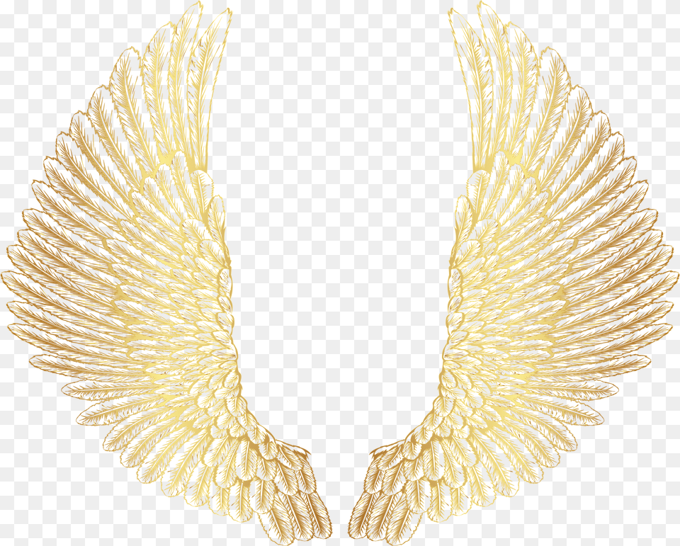 Gold Wings Clipart Png Image