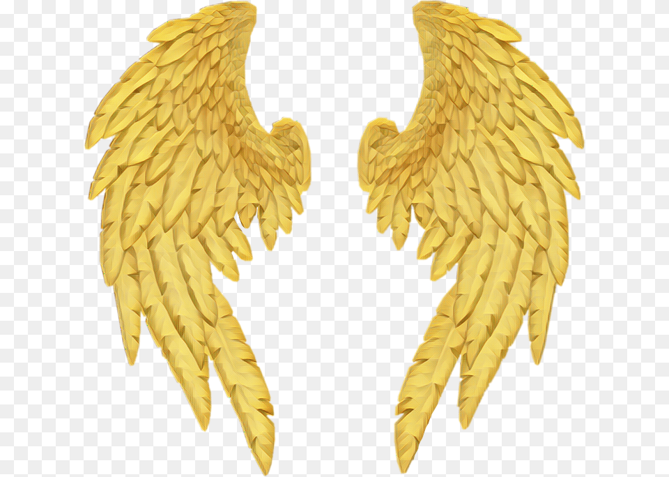 Gold Wings Freetoedit Golden Wings, Animal, Bird Png