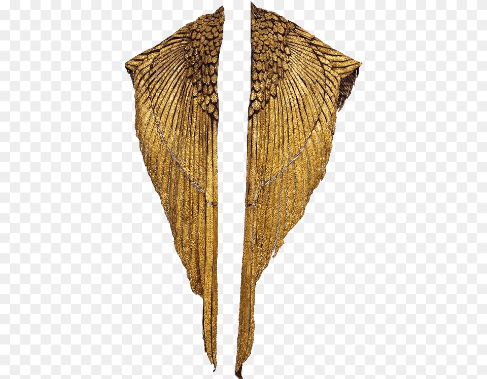 Gold Wings Shawl Cute Trendy Golden Cape, Accessories, Jewelry, Animal, Bird Png Image