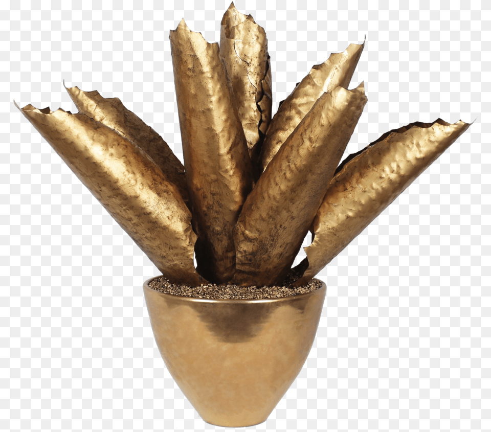 Goldagave Copy Brass, Plant, Leaf, Food, Produce Png