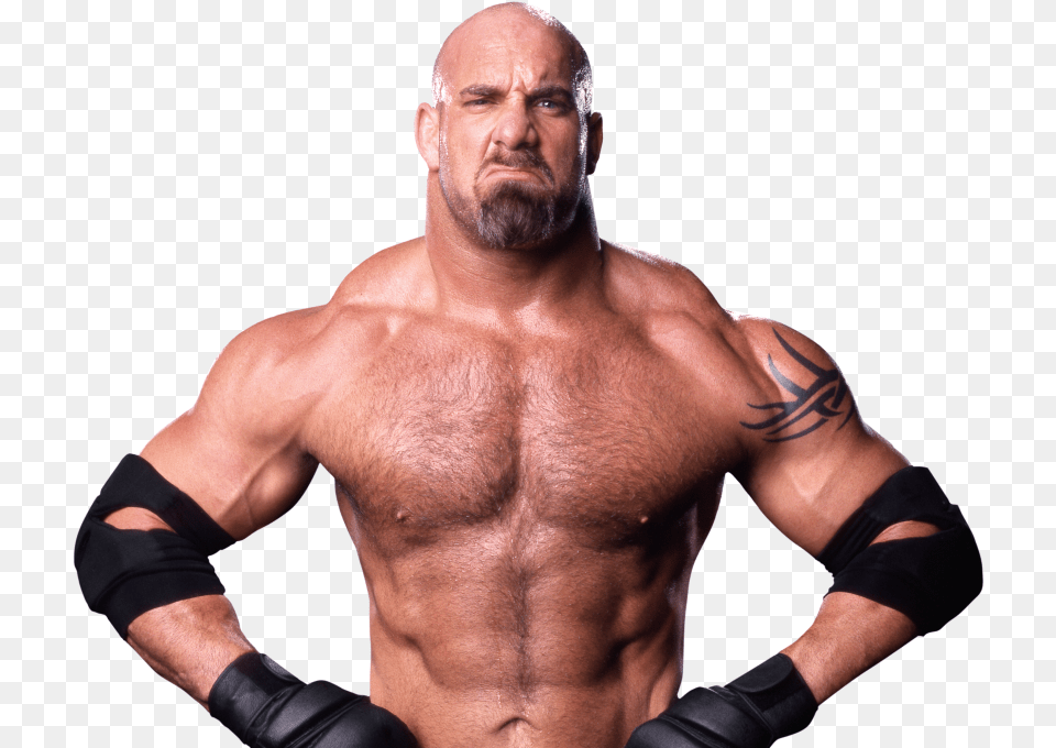 Goldberg, Adult, Person, Man, Male Png