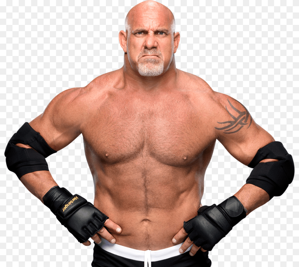 Goldberg Page, Adult, Man, Male, Person Free Transparent Png