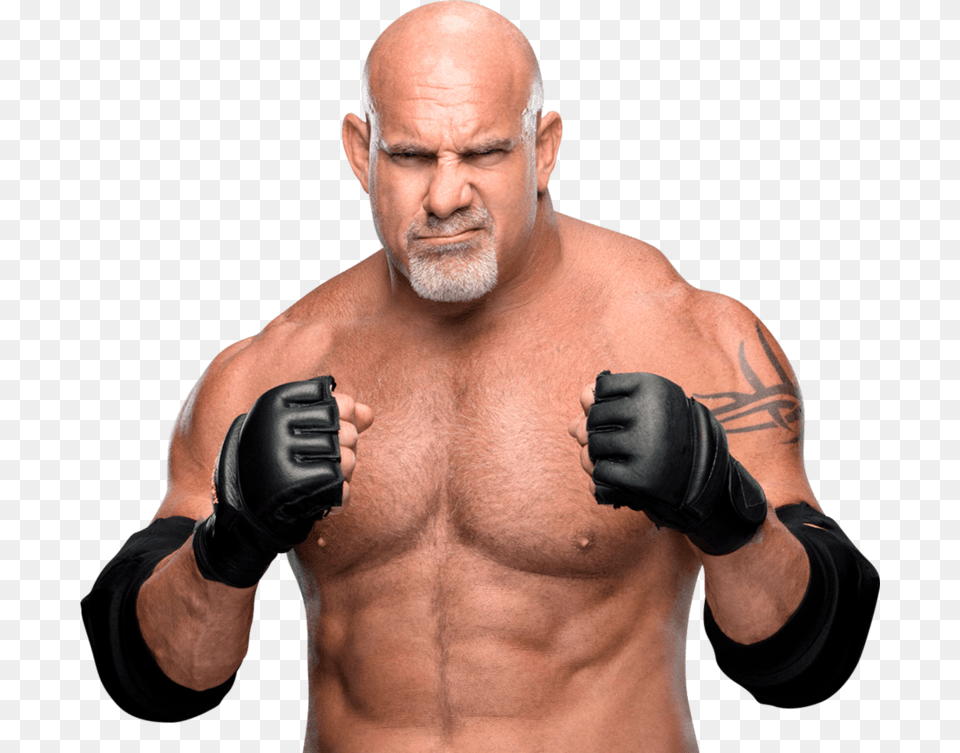Goldberg Wwe, Adult, Man, Male, Person Free Png Download