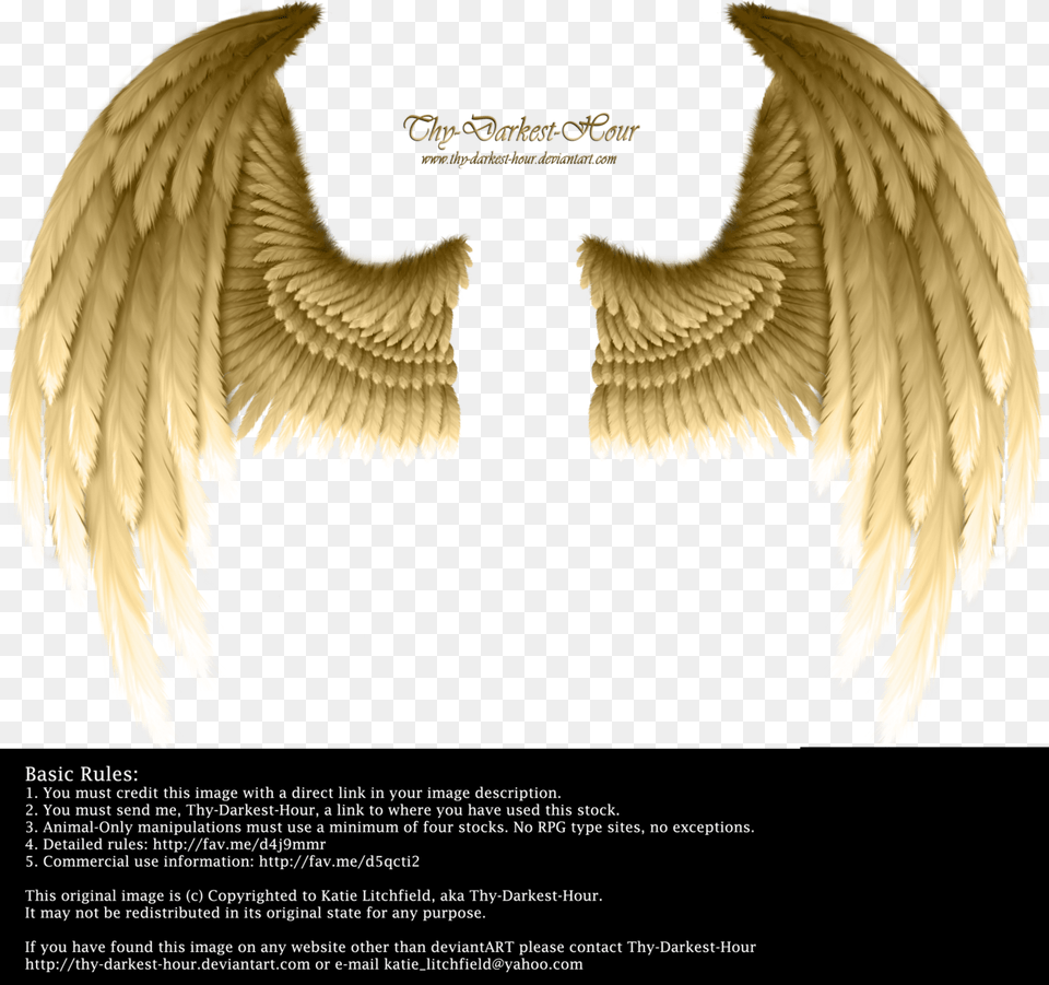 Golden Angel Wings Clipart Transparent Stock Angel Gold Wings, Animal, Bird, Symbol Free Png