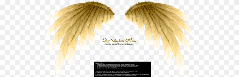 Golden Angels Wings Picture Portable Network Graphics, Angel, Animal, Bird, Plant Free Transparent Png