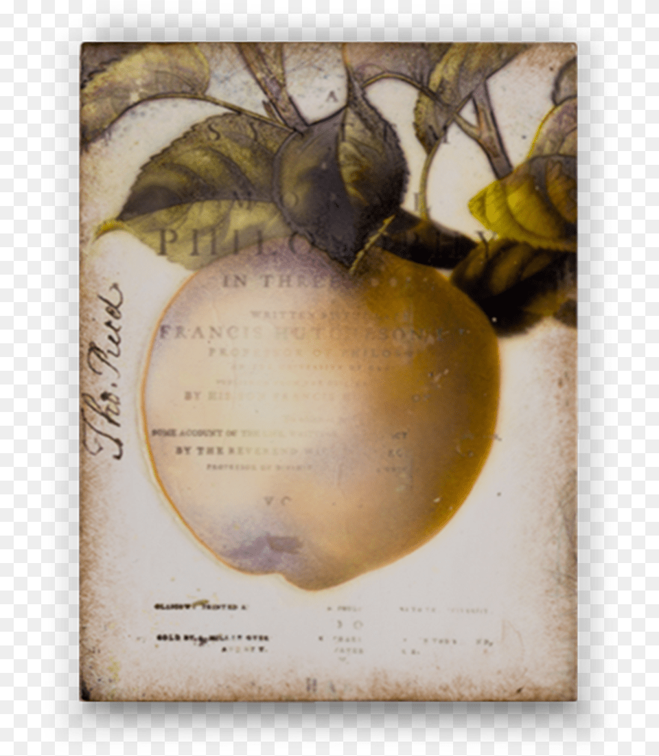 Golden Apple Golden Apple, Food, Fruit, Plant, Produce Png Image