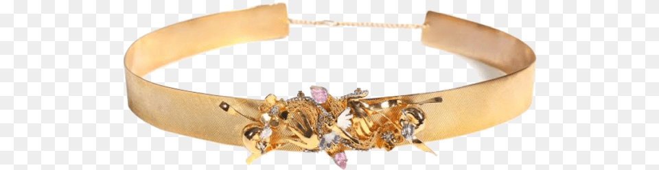 Golden Apple Of Discord Belt, Accessories, Electrical Device, Device, Ceiling Fan Free Transparent Png