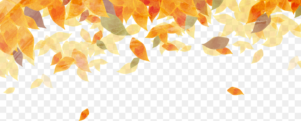 Golden Autumn Autumn Leaf Color Watercolor Painting Watercolour Fall Leaves Png