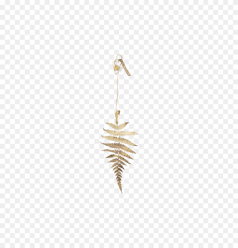 Golden Brass Fern Leaf Png