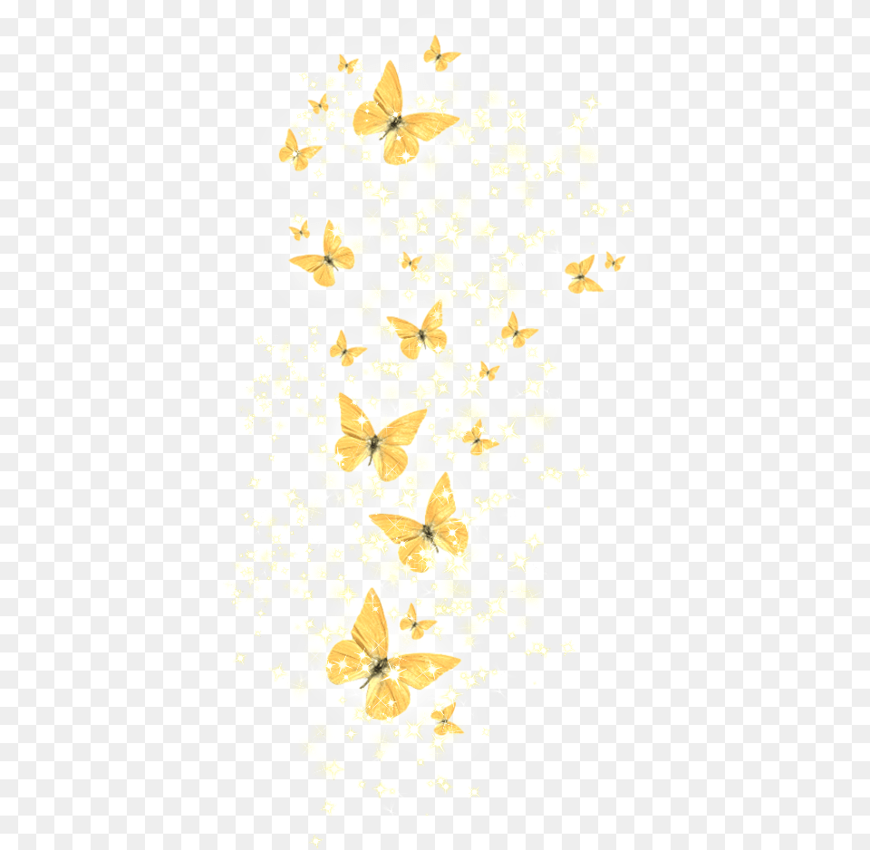 Golden Butterfly, Flower, Petal, Plant, Adult Free Png