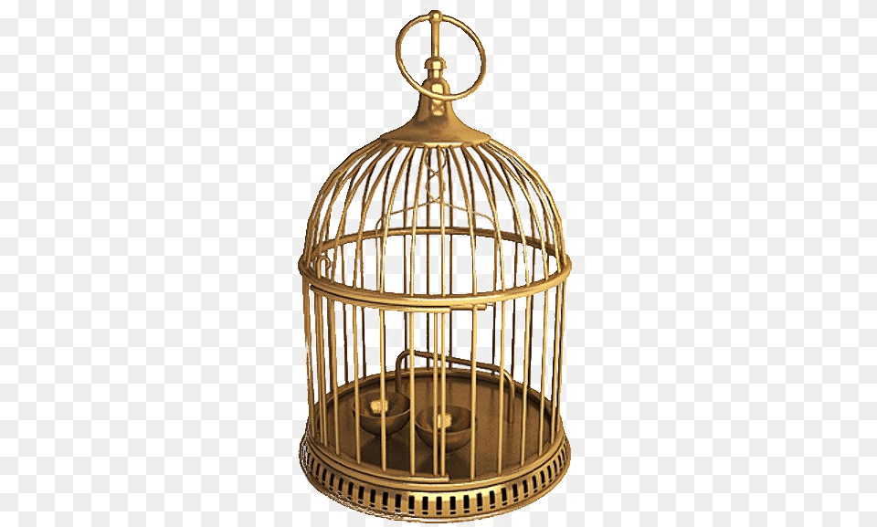 Golden Cage Download Image Real Old Fashioned Bird Cages Free Png