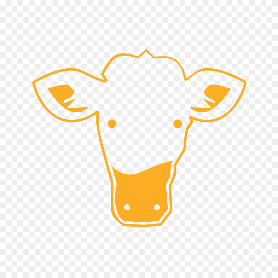 Golden Calf Productions, Animal, Cattle, Cow, Livestock Free Png Download