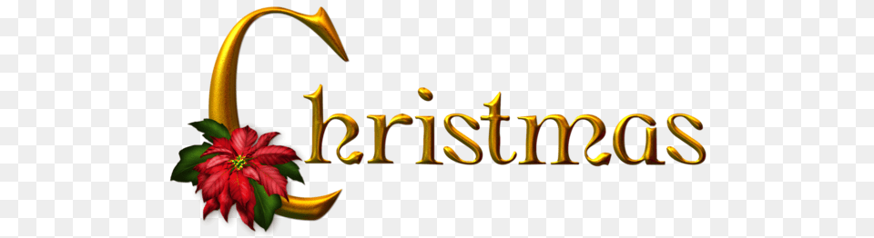 Golden Christmas Clipart Christmas, Flower, Plant, Anther, Petal Png