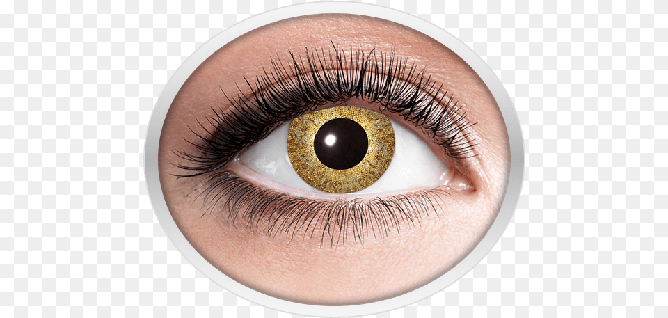 Golden Contact Lenses Contact Lenses With Rainbow, Contact Lens, Adult, Female, Person Png