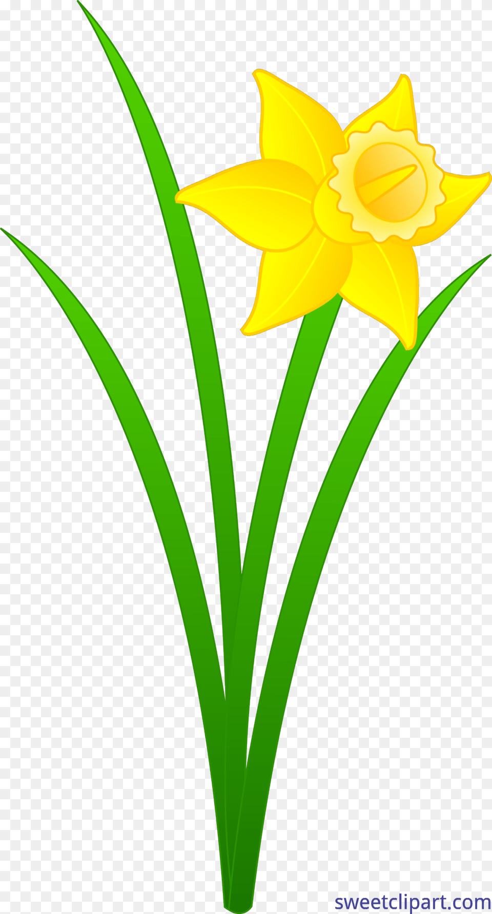 Golden Daffodil Clip Art, Flower, Plant Free Transparent Png
