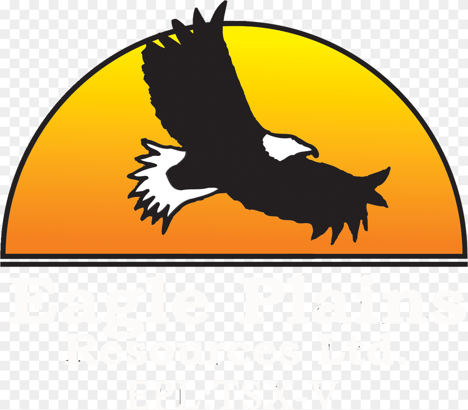 Golden Eagle, Animal, Bird Png