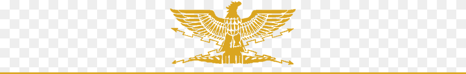 Golden Eagle, Animal, Bird, Vulture Png