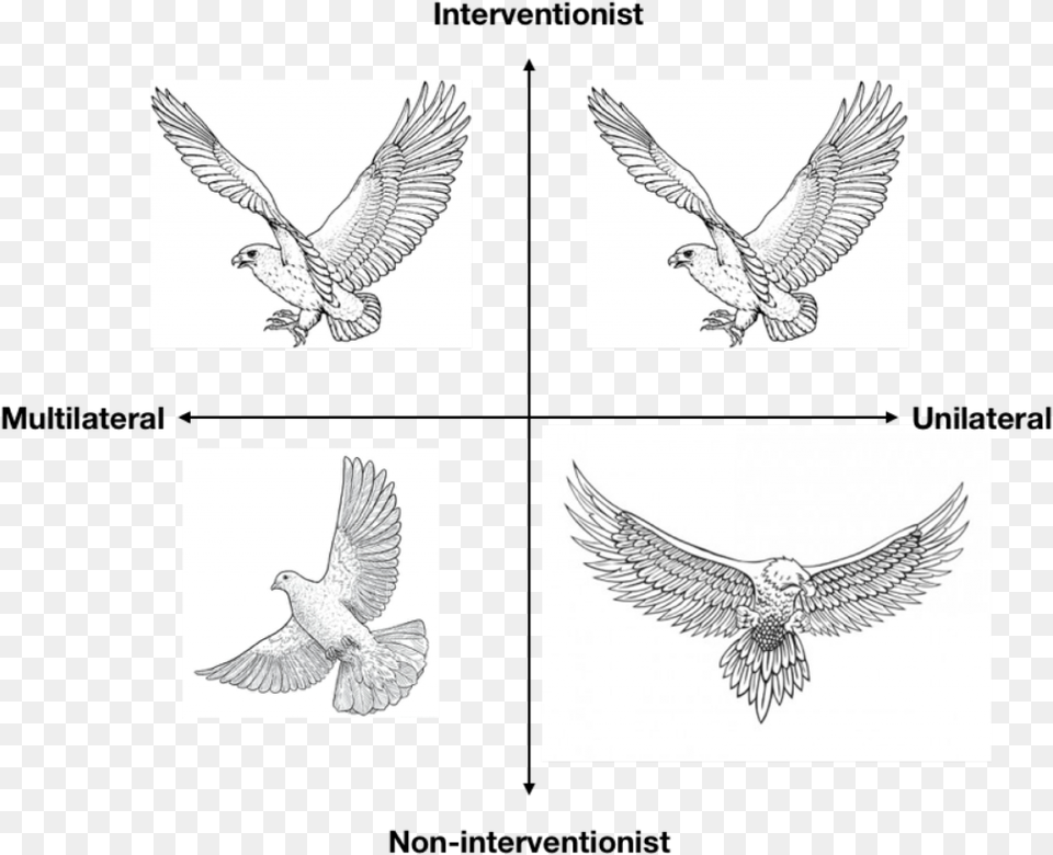Golden Eagle, Animal, Bird, Flying, Kite Bird Free Transparent Png