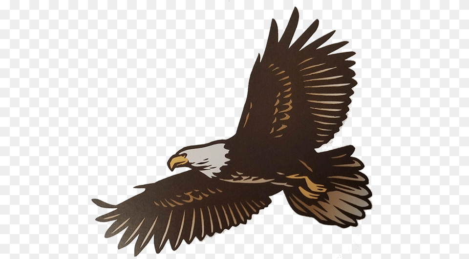 Golden Eagle, Animal, Bird, Flying, Vulture Free Png