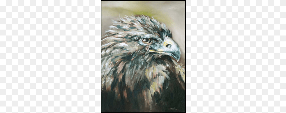 Golden Eagle, Animal, Beak, Bird, Art Png