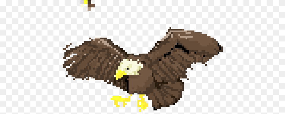 Golden Eagle, Animal, Bird, Bald Eagle, Vulture Png Image