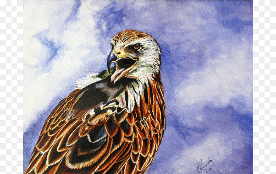 Golden Eagle, Animal, Beak, Bird, Vulture Png