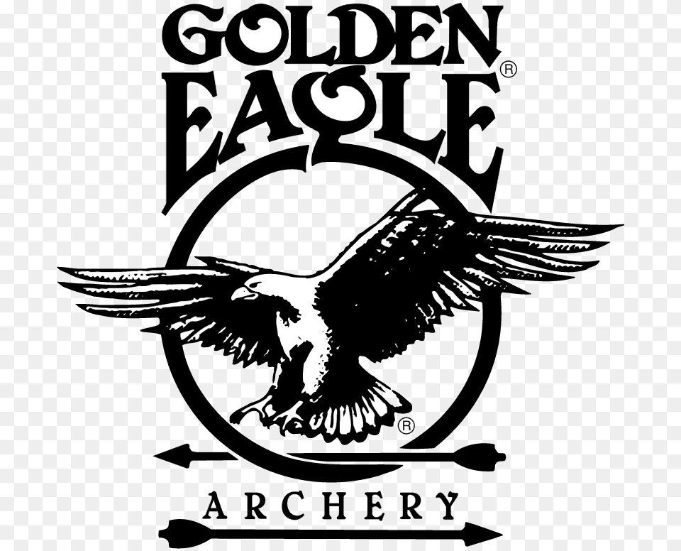 Golden Eagle Archery Vector Logo Golden Eagle Archery, Animal, Bird, Flying, Beak Png Image