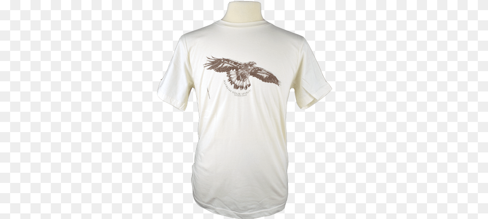 Golden Eagle Bald Eagle, Clothing, T-shirt, Shirt Free Png Download