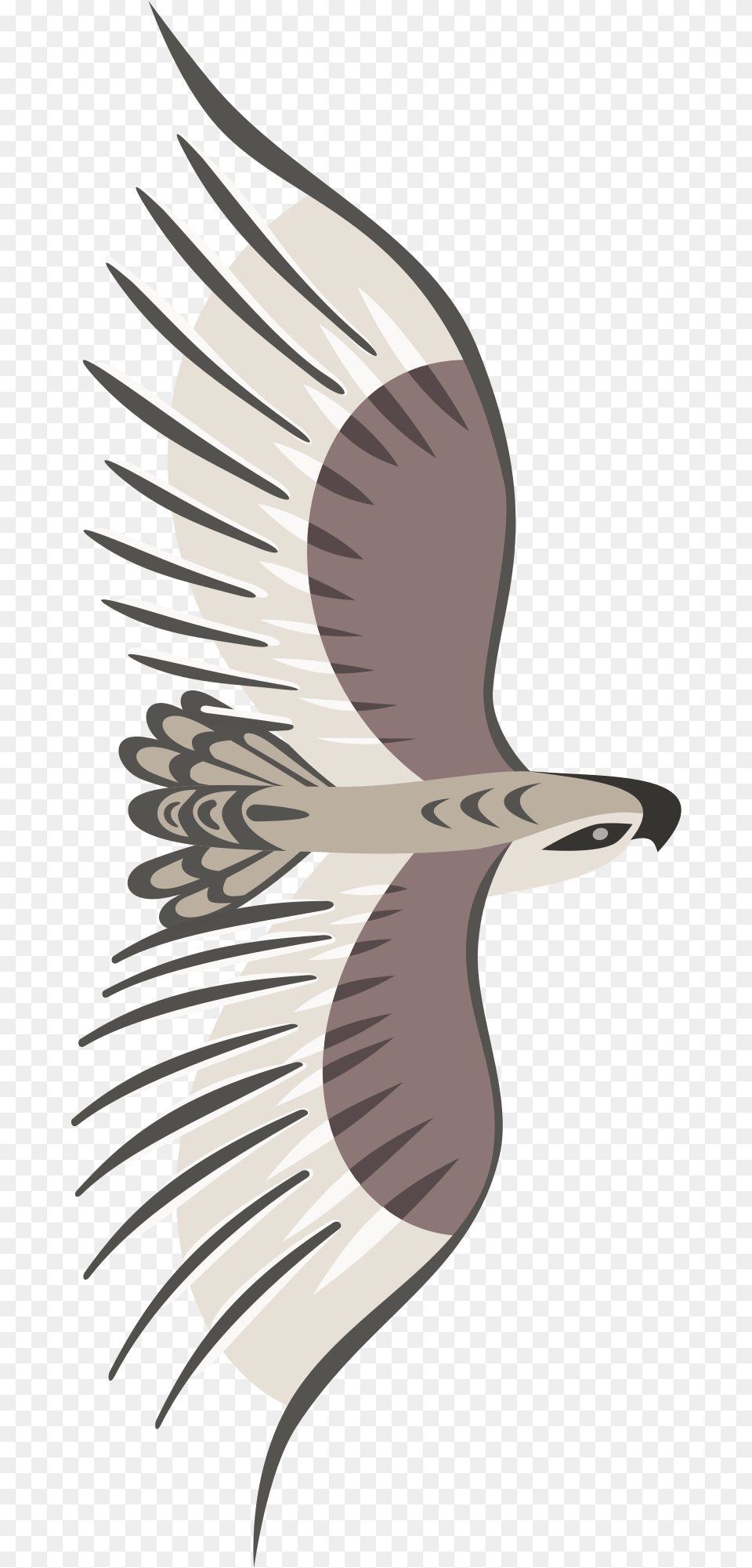 Golden Eagle Clip Arts For Web Clip Arts Flying Bird Top View, Animal, Kite Bird, Vulture, Hawk Png Image