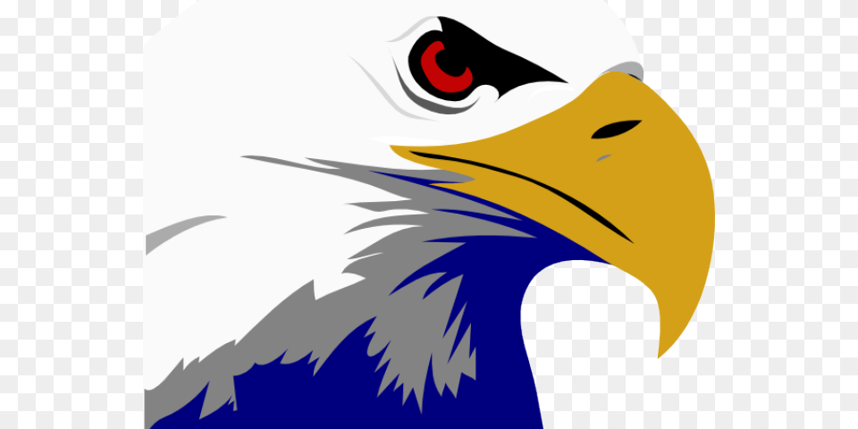Golden Eagle Clipart Flying, Animal, Beak, Bird, Bald Eagle Png