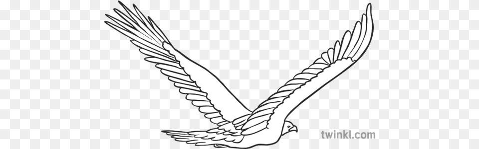 Golden Eagle Flying Away Bird Animal Ks1 Black And White Rgb Lovely, Emblem, Symbol Free Png