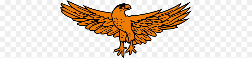 Golden Eagle Image, Animal, Bird, Vulture, Hawk Free Transparent Png
