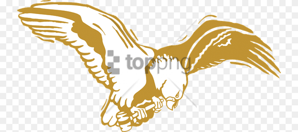 Golden Eagle Image With Background Golden Eagle Clip Art, Animal, Bird, Waterfowl, Flying Png