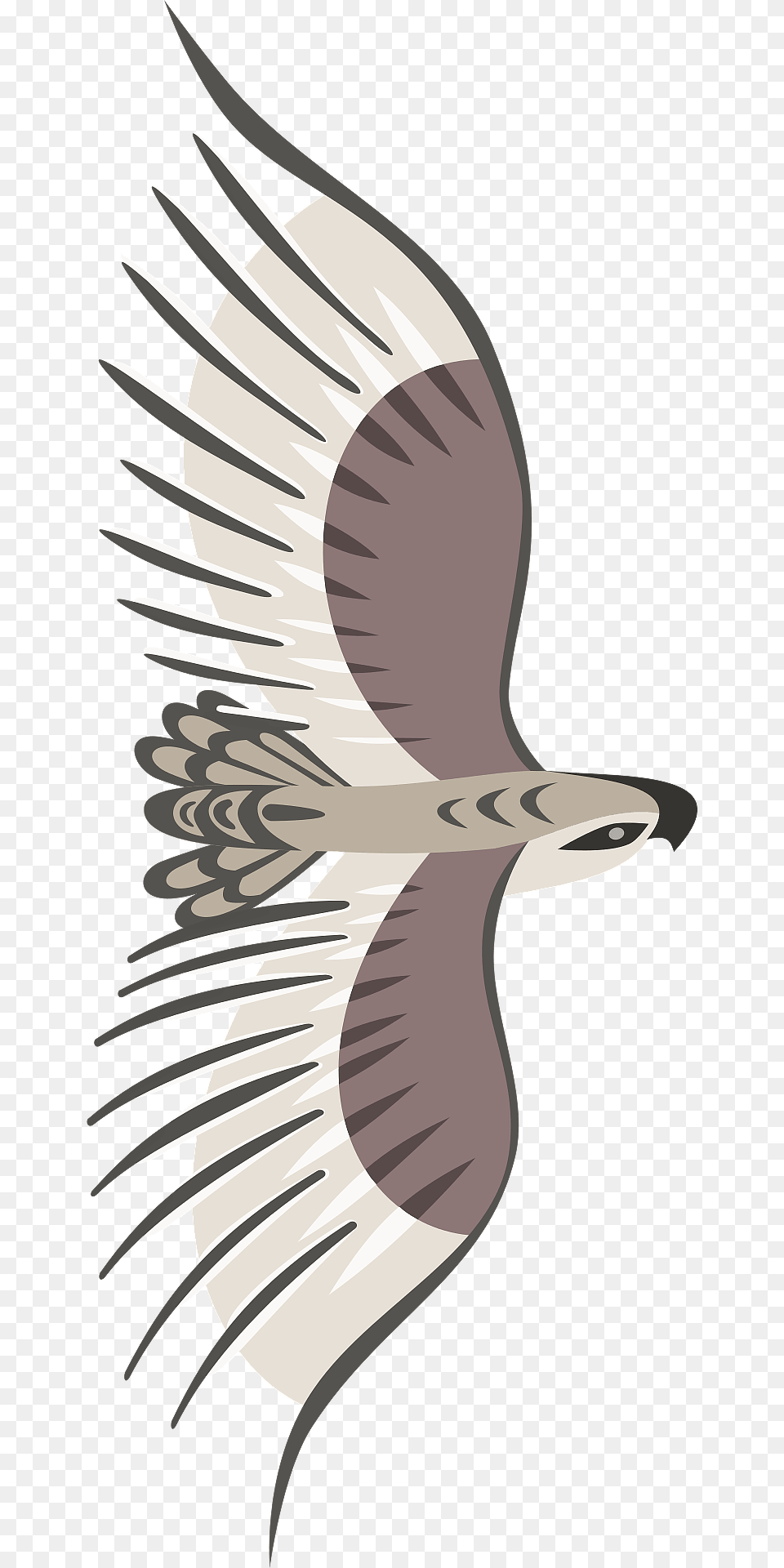 Golden Eagle In Flight Clipart, Animal, Bird, Flying, Kite Bird Free Png
