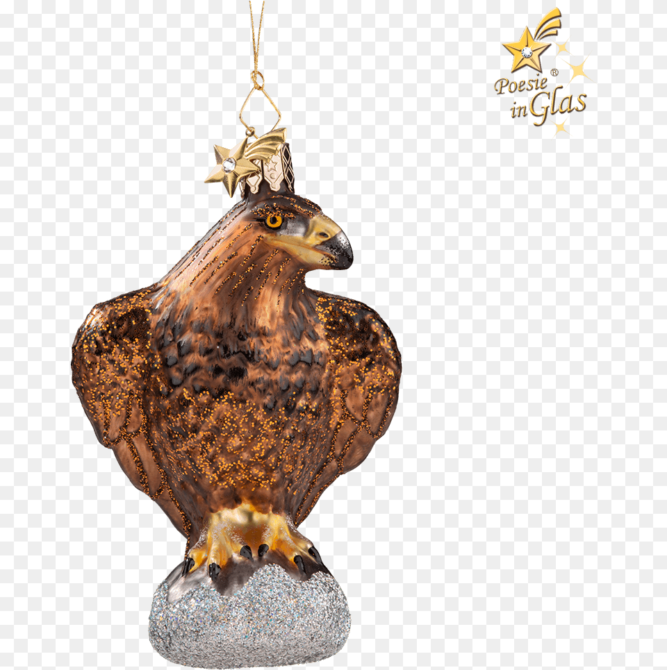 Golden Eagle Rooster, Accessories, Animal, Beak, Bird Free Png