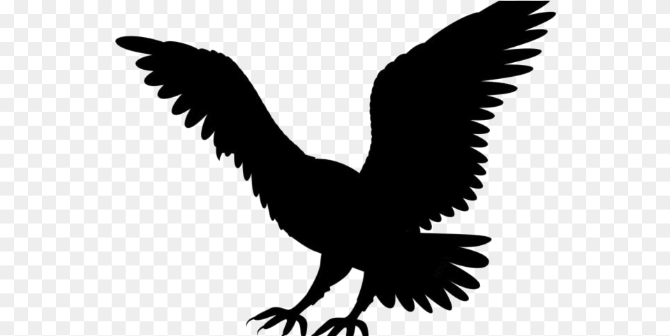 Golden Eagle Transparent, Silhouette, Animal, Bird, Flying Png
