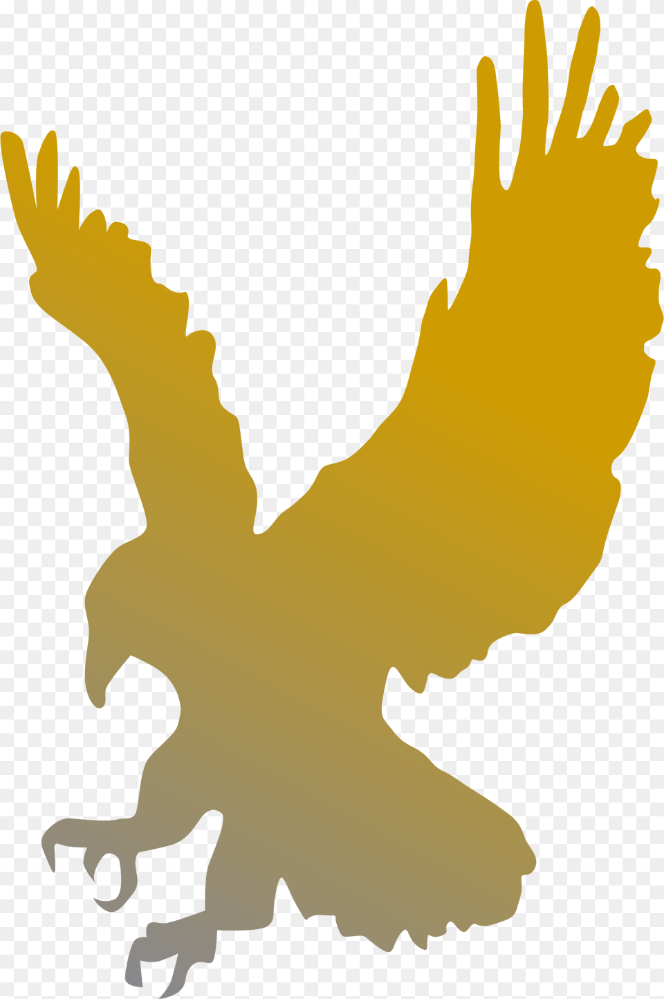 Golden Eagle Vector Clipart Image, Baby, Person, Animal, Bird Free Png Download