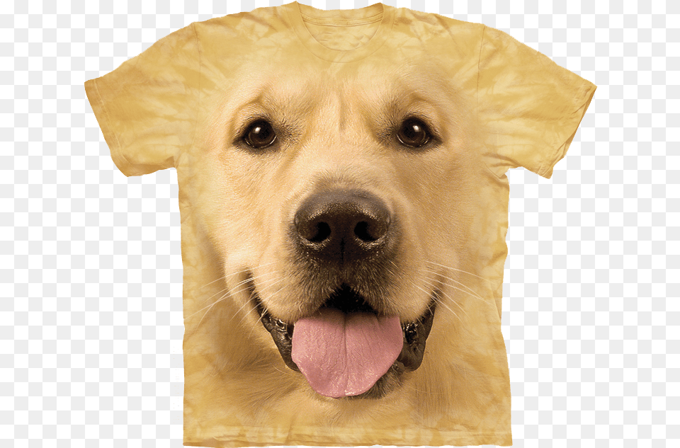 Golden Face Golden Retriever Face T Shirt, Animal, Canine, Dog, Golden Retriever Free Png Download