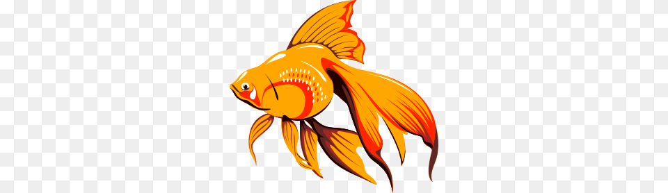 Golden Fish Clip Art Fish Chips Inspiration For The Block, Animal, Sea Life, Goldfish, Shark Free Png