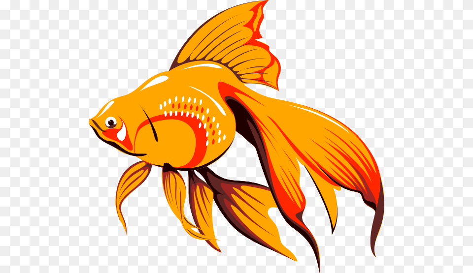 Golden Fish Clip Art For Web, Animal, Sea Life, Goldfish, Shark Free Png
