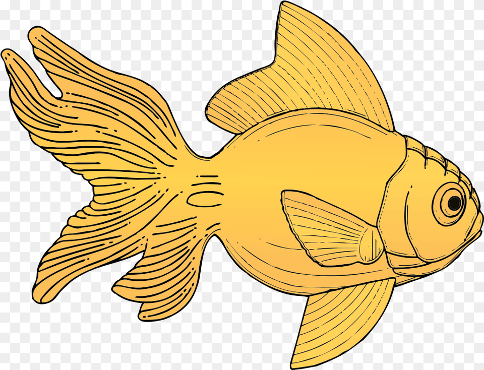 Golden Fish Svg Clip Art For Web Download Clip Art Gold Fish Clip Art, Animal, Sea Life, Shark, Goldfish Free Transparent Png