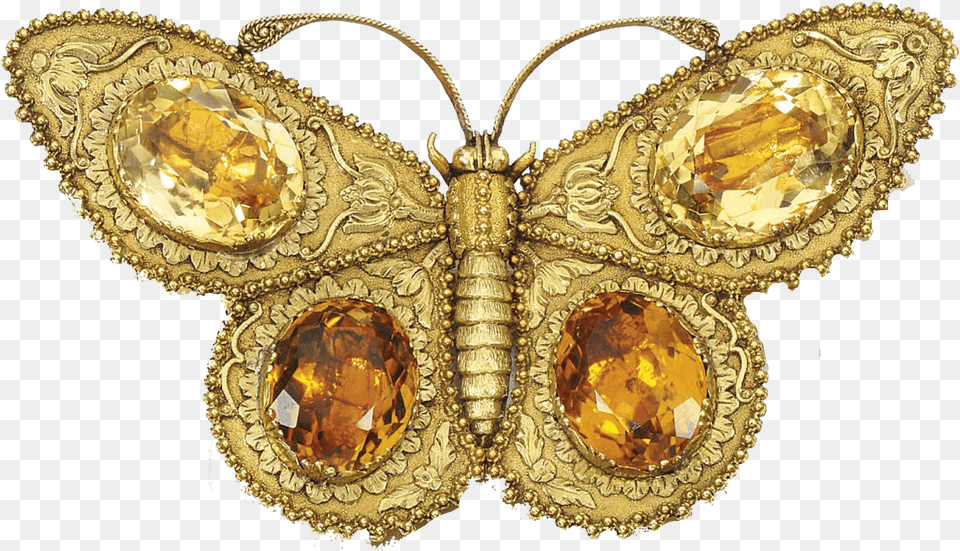 Golden Flare High Quality Vanessa Butterfly, Accessories, Jewelry, Gold Png Image