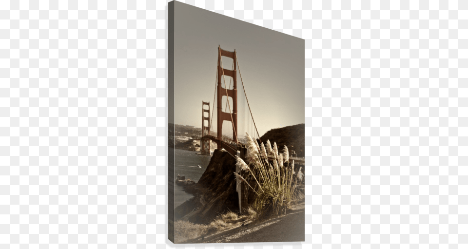 Golden Gate Bridge San Francisco Golden Gate Bridge By Melanie Viola Hi, Plant, Reed, Nature, Outdoors Png